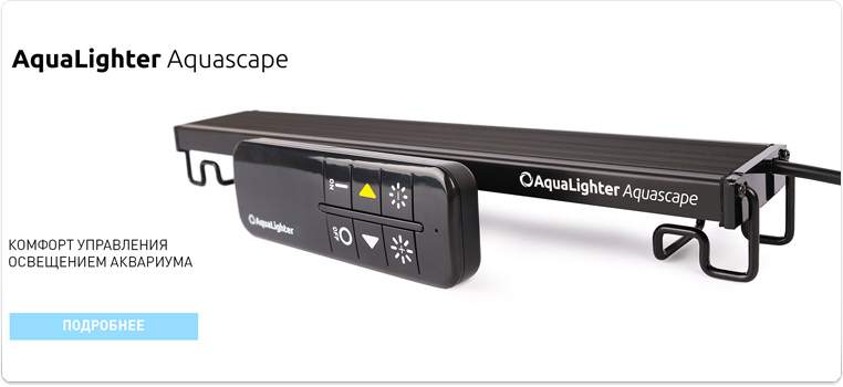 aLighterAquascape