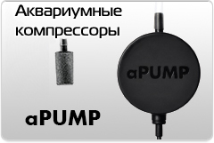 aPump