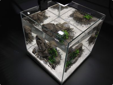 /images/product_images/info_images/akvarium-daquarium_4.jpg