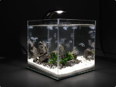 /images/product_images/info_images/akvarium-daquarium_6.jpg