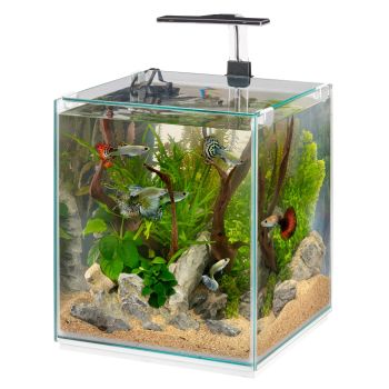 Аквариум с фильтром, светодиодным светильником и обогревателем - Ferplast Hydor TONGA 30 объемом 30л