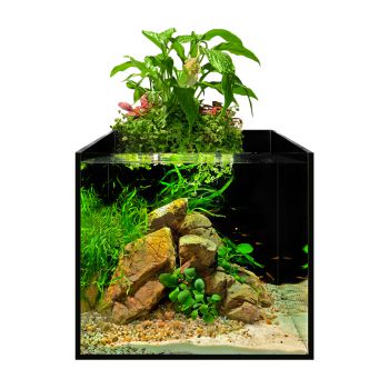 Аквариумный набор aFARM AQUAPONIC SET 13 л с фермой для выращивания растений