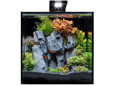 /images/product_images/info_images/akvariumnyj-nabor-aqualighter-blackcube-20-litrov-s-chernoj-zadnej-stenkoj-27h27h27-sm-steklo-4-mm_2.jpg