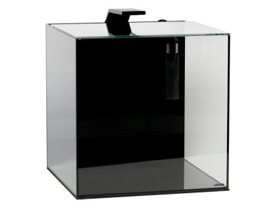 Аквариумный набор AquaLighter BlackCube 30 литров, с черной задней стенкой, 31х31х31 см, стекло 4 мм