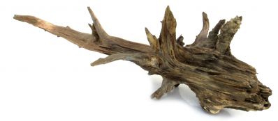 /images/product_images/info_images/dekoracija-dlja-akvariuma---naturalnaja-prirodnaja-korjaga-0135_1.jpg