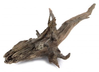 /images/product_images/info_images/dekoracija-dlja-akvariuma---naturalnaja-prirodnaja-korjaga-0135_2.jpg