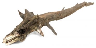 /images/product_images/info_images/dekoracija-dlja-akvariuma---naturalnaja-prirodnaja-korjaga-0135_3.jpg