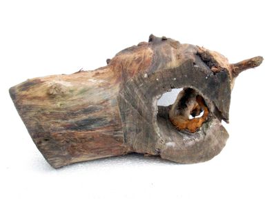 /images/product_images/info_images/dekoracija-dlja-akvariuma---naturalnaja-prirodnaja-korjaga-0141_3.jpg
