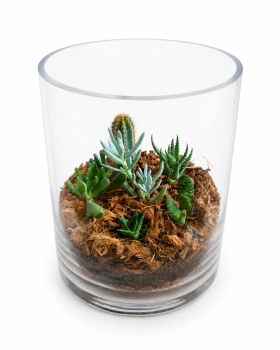 /images/product_images/info_images/ekskljuzivnij-avtorskij-phlorarum-aqua-tech-exclusive-florarium-fl001_1.png