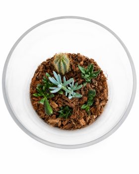 /images/product_images/info_images/ekskljuzivnij-avtorskij-phlorarum-aqua-tech-exclusive-florarium-fl001_2.png