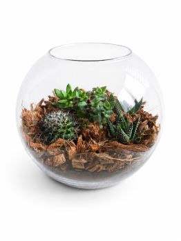 Эксклюзивный авторский флорариум Aqua-Tech Exclusive Florarium, FL002