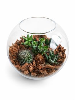 /images/product_images/info_images/jekskljuzivnyj-avtorskij-phlorarium-aqua-tech-exclusive-florarium-fl002_1.png