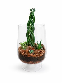 Эксклюзивный авторский флорариум Aqua-Tech Exclusive Florarium, FL003