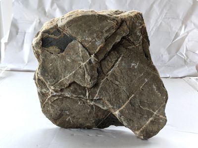/images/product_images/info_images/kamen-dlja-akvariuma-0024_3.jpg