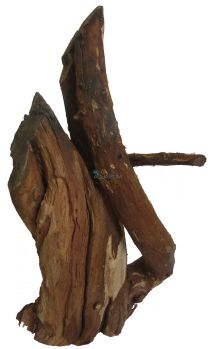 /images/product_images/info_images/korjaga-0007_2.png
