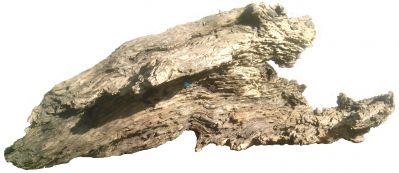 /images/product_images/info_images/korjaga-0016_2.jpg