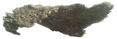 /images/product_images/info_images/korjaga-0016_3.jpg