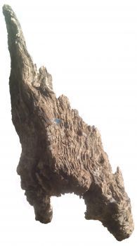 /images/product_images/info_images/korjaga-0016_4.jpg