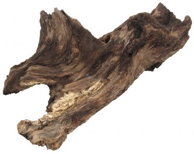 /images/product_images/info_images/korjaga-0045_1.jpg