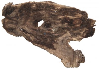 /images/product_images/info_images/korjaga-0045_3.jpg