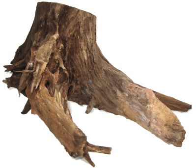 /images/product_images/info_images/korjaga-0057_1.jpg