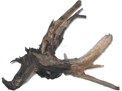 /images/product_images/info_images/korjaga-0057_3.jpg