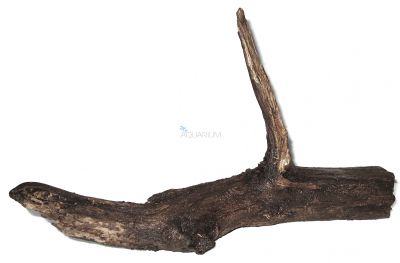/images/product_images/info_images/korjaga-0069_1.jpg