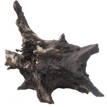 /images/product_images/info_images/korjaga-0071_1.jpg