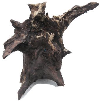 /images/product_images/info_images/korjaga-0071_2.jpg
