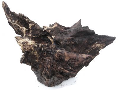 /images/product_images/info_images/korjaga-0071_3.jpg