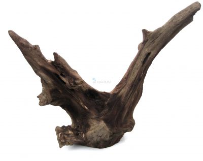/images/product_images/info_images/korjaga-0074_2.jpg