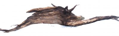 /images/product_images/info_images/korjaga-0080_2.jpg