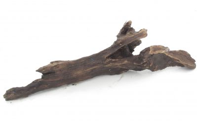 /images/product_images/info_images/korjaga-0084_1.jpg