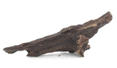 /images/product_images/info_images/korjaga-0084_2.jpg