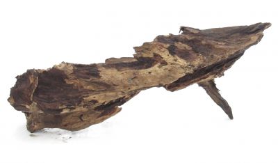 /images/product_images/info_images/korjaga-0085_1.jpg