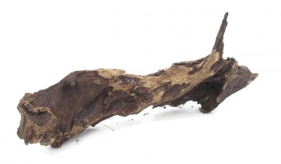 /images/product_images/info_images/korjaga-0085_2.jpg