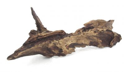 /images/product_images/info_images/korjaga-0085_3.jpg