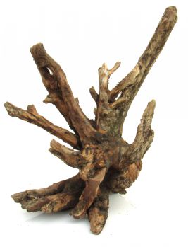 /images/product_images/info_images/korjaga-0095_3.jpg