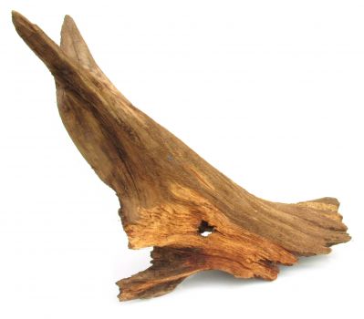 /images/product_images/info_images/korjaga-0106_1.jpg