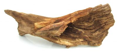 /images/product_images/info_images/korjaga-0106_3.jpg