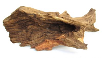 /images/product_images/info_images/korjaga-0106_6.jpg