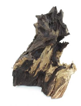 /images/product_images/info_images/korjaga-0117_2.jpg