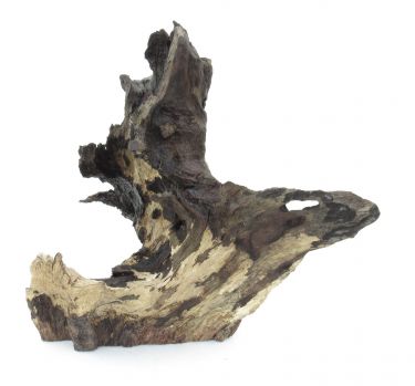 /images/product_images/info_images/korjaga-0117_3.jpg