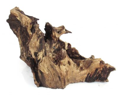 /images/product_images/info_images/korjaga-0127_2.jpg