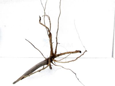 /images/product_images/info_images/korjaga-dlja-akvariuma---naturalnaja-prirodnaja-dekoracija-0157_1.jpg