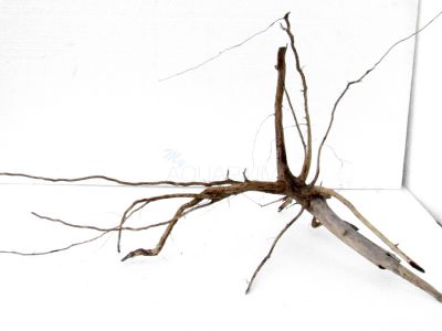 /images/product_images/info_images/korjaga-dlja-akvariuma---naturalnaja-prirodnaja-dekoracija-0157_2.jpg