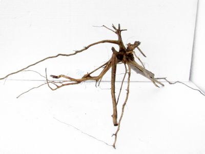 /images/product_images/info_images/korjaga-dlja-akvariuma---naturalnaja-prirodnaja-dekoracija-0157_3.jpg