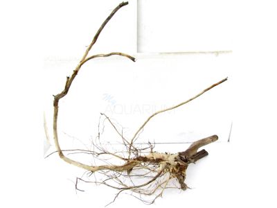 /images/product_images/info_images/korjaga-dlja-akvariuma---naturalnaja-prirodnaja-dekoracija-0165_1.jpg