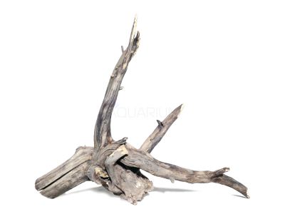 /images/product_images/info_images/korjaga-dlja-akvariuma---naturalnaja-prirodnaja-dekoracija-0184_1.jpg
