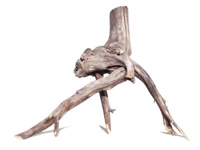 /images/product_images/info_images/korjaga-dlja-akvariuma---naturalnaja-prirodnaja-dekoracija-0184_3.jpg